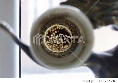 There are a paper cup and coffee grounds on the bottom. 44371476
