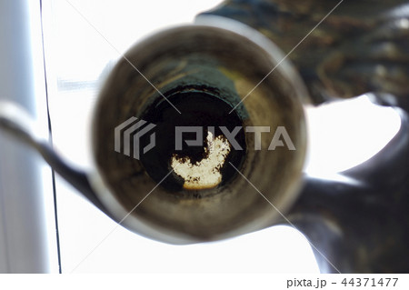 There are a paper cup and coffee grounds on the bottom. 44371477