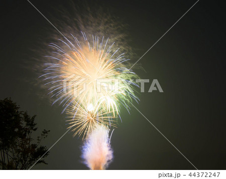 河口湖湖上祭の花火 44372247