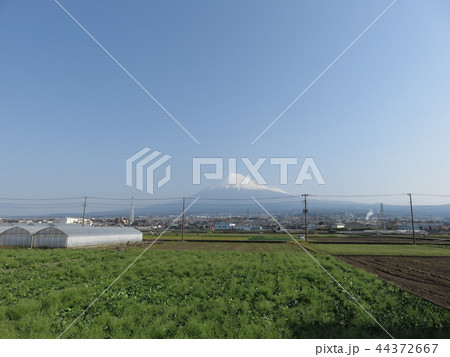 富士山が見える風景 富士山が見える風景 44372667
