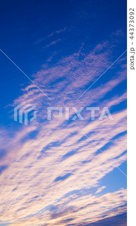 10月の空（縦） 44373092