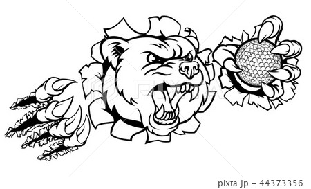 Bear Holding Golf Ball Breaking Background Bear Holding Golf Ball Breaking Background 44373356