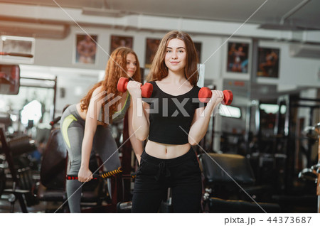 girls in a gym girls in a gym 44373687