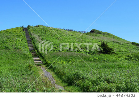 利尻島夕日ヶ丘展望台 利尻島夕日ヶ丘展望台 44374202