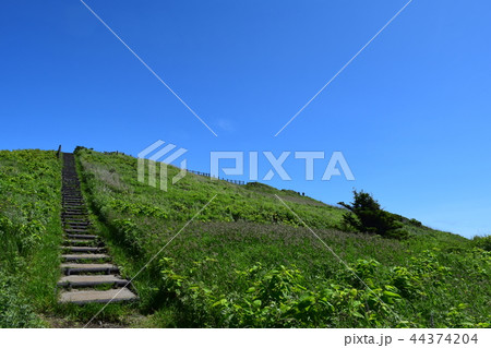 利尻島夕日ヶ丘展望台 利尻島夕日ヶ丘展望台 44374204