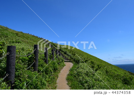 利尻島夕日ヶ丘展望台 利尻島夕日ヶ丘展望台 44374358