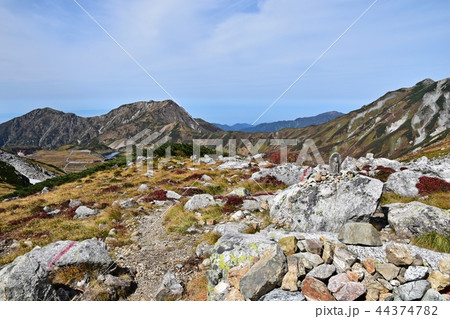 秋を迎えた立山 室堂平の絶景 44374782