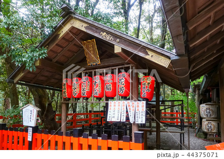 日本 ジャパン 日本国 44375071