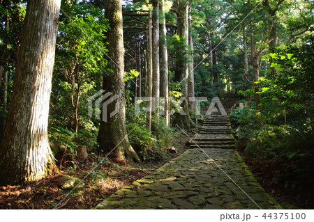 熊野古道　大門坂　那智山　石畳 ／ 唐斗石 （ 和歌山県 東牟婁郡 那智勝浦町 ） 44375100