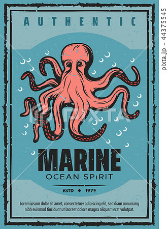 Marine adventure ocean octopus, vector Marine adventure ocean octopus, vector 44375545