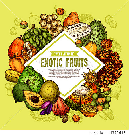 Vector poster of exotic tropical fruits 44375613