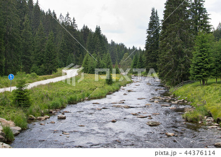 Walking trail in Bohemian Forest. Czech Republic. 44376114