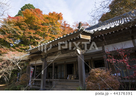 大分 大分 44376391