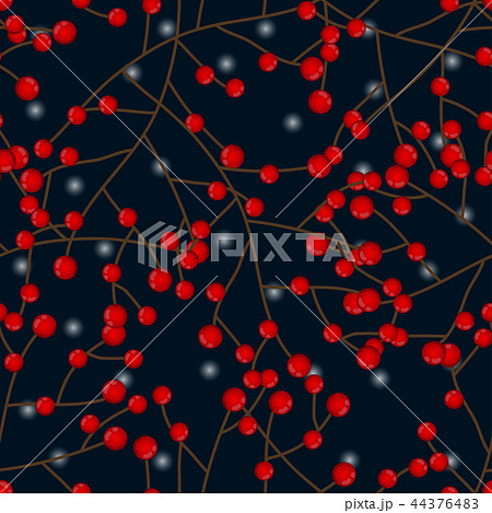 Red Berry Christmas and White Snow on Dark Blue  44376483