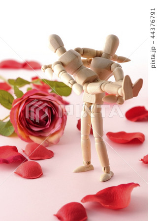 バラの花びらとお姫様抱っこ 44376791