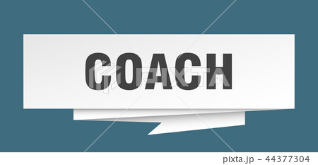 coach coach 44377304
