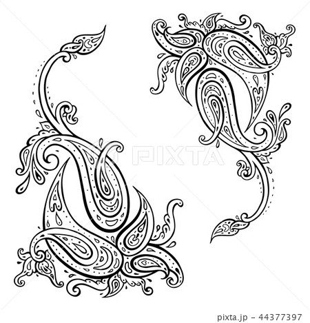 Exotic Paisley. Ethnic ornament, Hand Drawn Boho Vector illustration 44377397