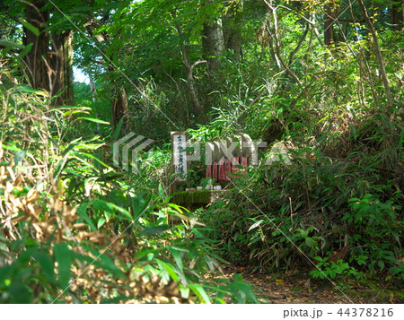 金剛山(六地蔵) 金剛山(六地蔵) 44378216