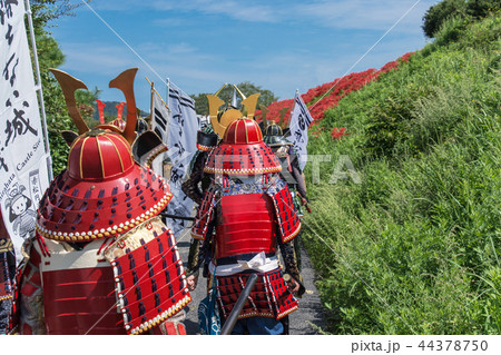 お城祭り お城祭り 44378750