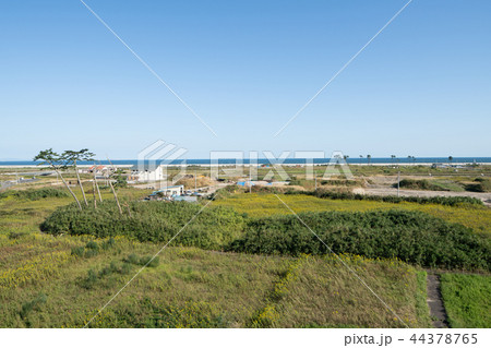 震災遺構　荒浜小学校屋上からの景色 44378765