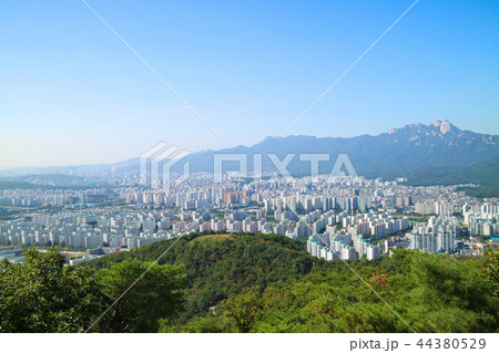 山 道 公園 44380529