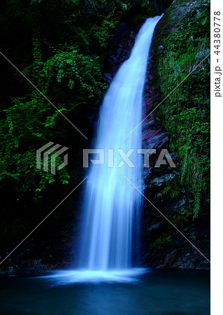 秩父華厳の滝 44380778