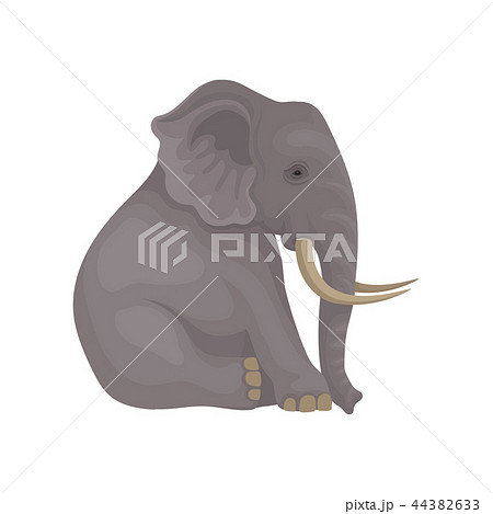 Big Gray Elephant Sitting Isolated On White Stock Illustration