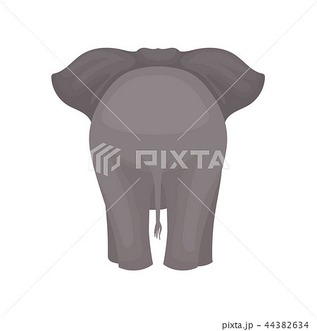 Back View Of Standing Elephant Wild Mammal のイラスト素材