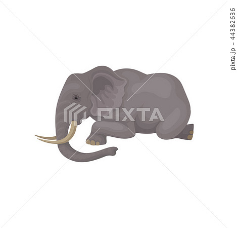 Flat Vector Icon Of Big Gray Elephant Lying のイラスト素材