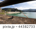 松ぼっくりと奥多摩湖 44382733