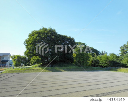 伊勢塚古墳 44384169