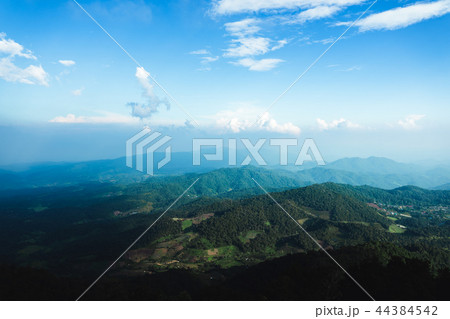 in the forest travel Trees and mountain views in the forest travel Trees and mountain views 44384542