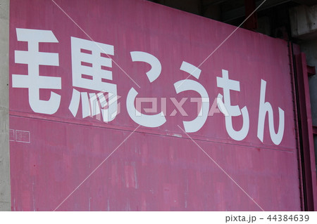 毛馬こうもん 44384639