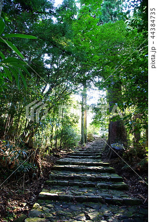 熊野古道 大門坂 那智山 石段 / 唐斗石 付近 ( 和歌山県 東牟婁郡 那智勝浦町 ) 熊野古道 大門坂 那智山 石段 / 唐斗石 付近 ( 和歌山県 東牟婁郡 那智勝浦町 ) 44384735