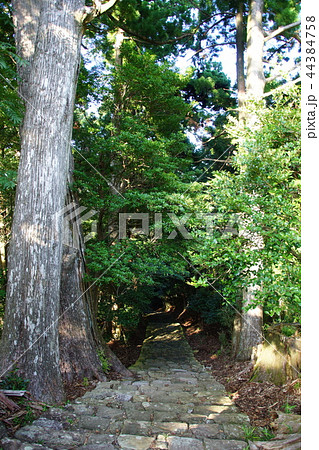 熊野古道　大門坂　那智山　石段 ／ 唐斗石 付近 （ 和歌山県 東牟婁郡 那智勝浦町 ） 44384758