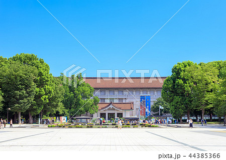 東京 上野公園 竹の台広場 東京 上野公園 竹の台広場 44385366