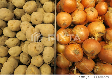 じゃがいも   たまねぎ じゃがいも   たまねぎ 44386229