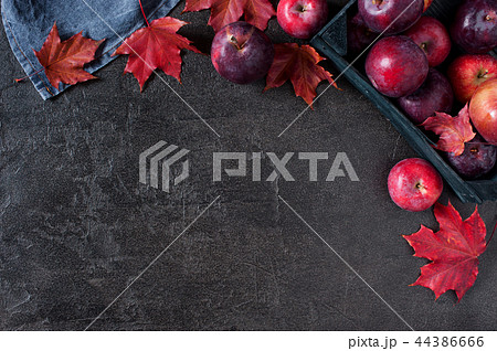 Black background with autumn red apples and leaves 44386666
