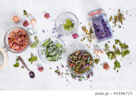 Mix of dry healthy herbs on the light grey table 44386725
