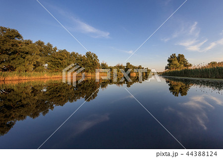 Danube Delta, Romania 44388124