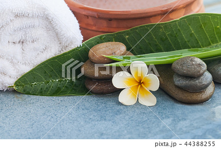 spa objects with green leaves and towel 44388255