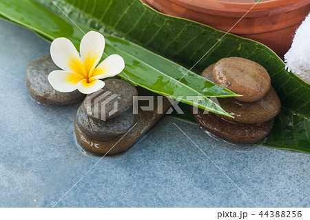 Spa objects for relax health massage treatment Spa objects for relax health massage treatment 44388256