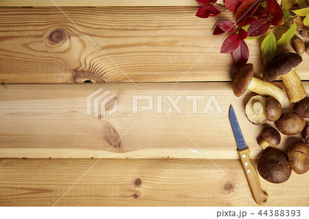 autumn background with mushrooms leaves and cones on an old wooden table autumn background with mushrooms leaves and cones on an old wooden table 44388393