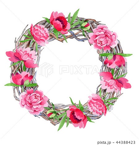 Watercolor pink peony  flower. Floral botanical flower. Frame border ornament square. 44388423