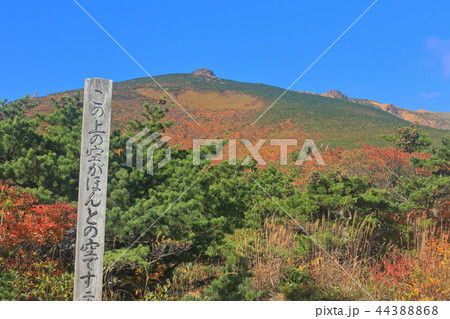 錦秋の安達太良連峰 44388868
