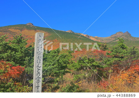 錦秋の安達太良連峰 錦秋の安達太良連峰 44388869