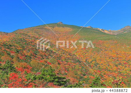錦秋の安達太良連峰 44388872
