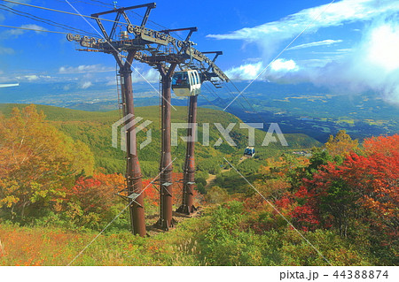 錦秋のあだたら山ロープウェイ 44388874