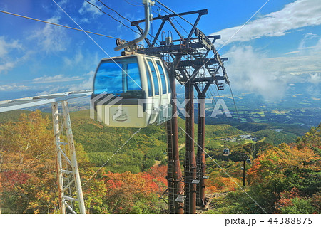 錦秋のあだたら山ロープウェイ 錦秋のあだたら山ロープウェイ 44388875