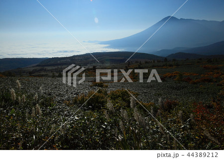 岩手山と雲海 44389212